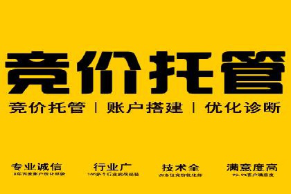 SEM优化策略：实战案例解析